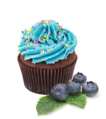 chocolate cupcake with fresh blueberry isolated on white