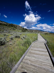 boardwalk in the desert landscape park