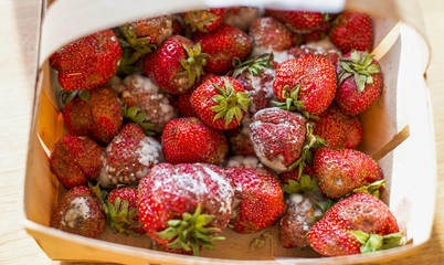 Punnet of rotten strawberries