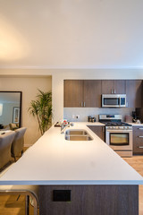 Modern kitchen in luxury house.