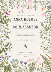 The frame of herbs and wild flowers. Wedding invitation in the style of boho. Vector vintage illustration. Colorful - 104962007