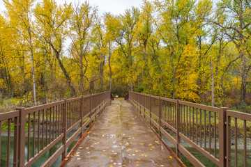 Fototapeta premium brown bridge over a river in the autumn forest