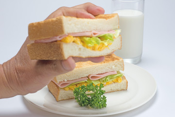 シニアの手とホットサンド