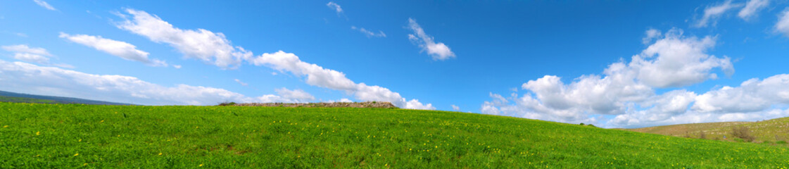 Fototapeta na wymiar Bellissimo panorama di una collina verde con delle nuvole nel cielo azzurro - Salviamo il Pianeta Terra - 