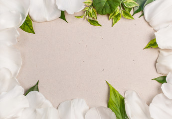 Frame from petals of a white tulips and various green leaves against a sheet of paper