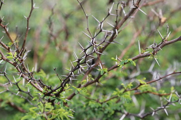 Guadeloupe - Fev 2016