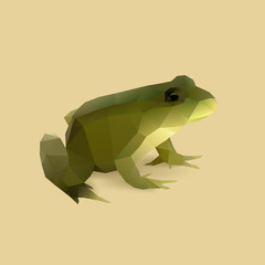 frog