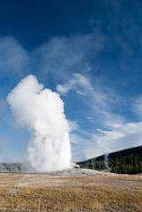 Old Faithful Geyser, Yellowstone National Park