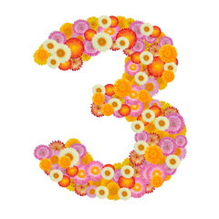 flower number three. Floral element of colorful alphabet made fr