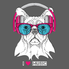 Dog in glasses and headphones. Vector illustration.