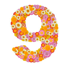 flower number nine. Floral element of colorful alphabet made fro