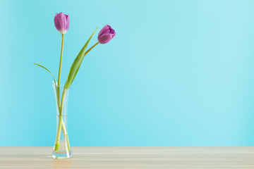 Purple tulips in a vase
