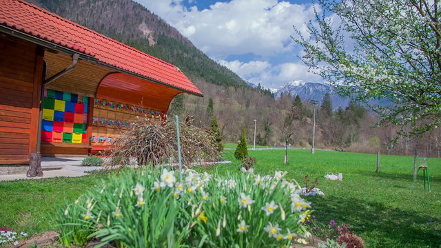 Beehive surounded by nature