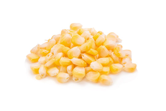 yellow corn seed on a white background