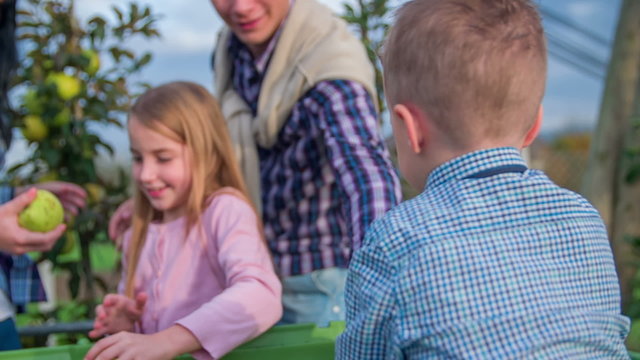 Young family helping in orchard - Powered by Adobe