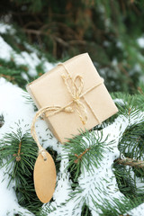 Fototapeta na wymiar Christmas gift on a snowy fir tree branches