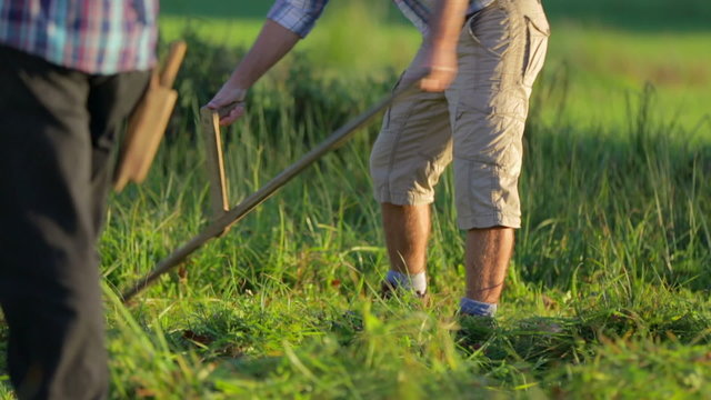Tourists man helps mowing grass at local farm 
