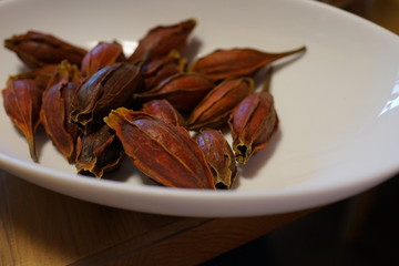 クチナシの実　山梔子　