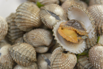 Boil Blood Cockle seafood