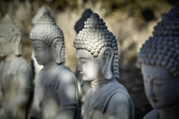 Obraz premium Meditating Buddha Statues