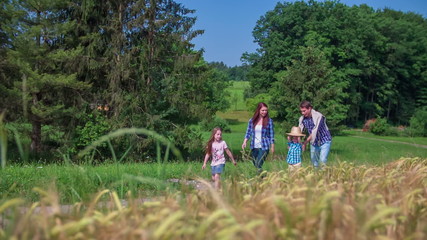 Family is walking along the field