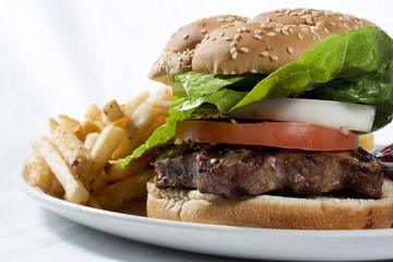 burger on a bun