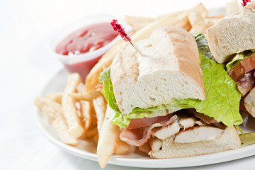 turkey sandwich closeup