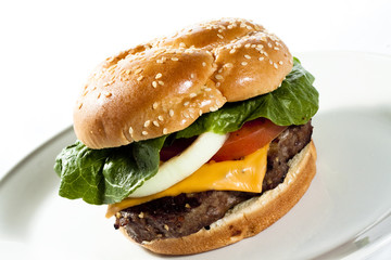 burger on a bun closeup