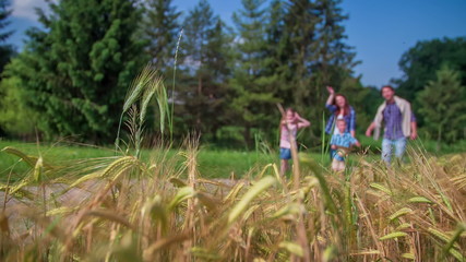 Family is walking near wheat field in nature