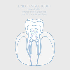 Healthy white tooth, line art style vector illustration