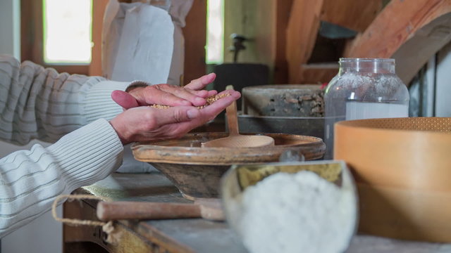 Preparing the seeds to go in to the millstone