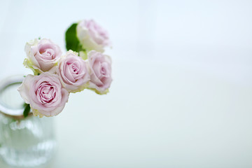 Obraz na płótnie Canvas Purple roses in vase on blurred background