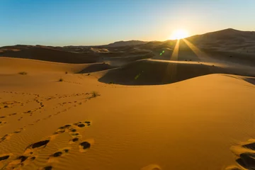 Foto auf Acrylglas Sonnenaufgang über Sanddüne in der Wüste © wayfarerlife