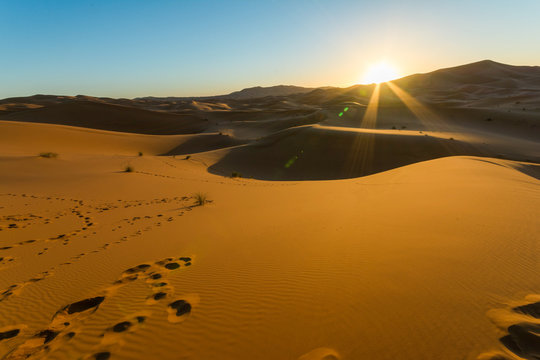 Sunrise over sand dune in the desert