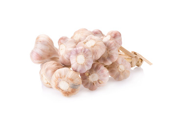 Garlic isolated on white background