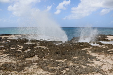 Guadeloupe - Février 2016