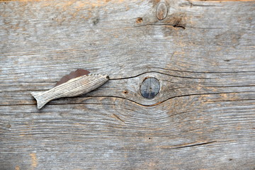 wooden fish on a board