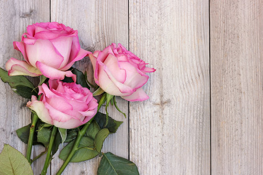 Three pink roses on a wooden platform, top view.