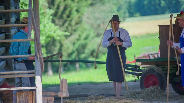 Farmer preparing straw for threshing it