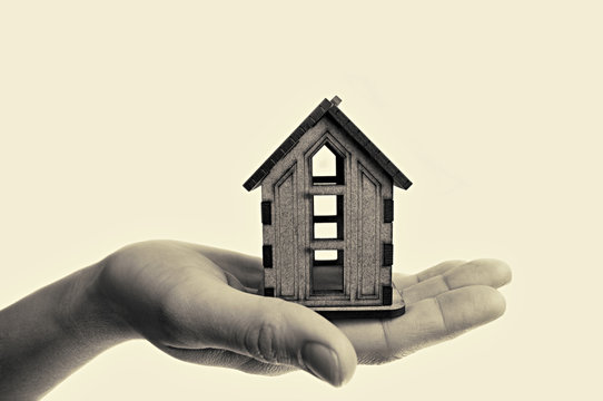 isolated toned image of a wooden house on a palm