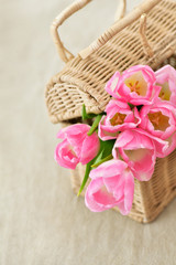Obraz na płótnie Canvas Bright pink tulips in a wicker trunk. Spring time.