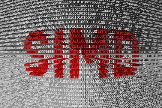 SIMD is presented in the form of binary code