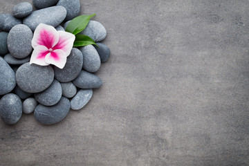 Close up view of spa theme objects on grey background.