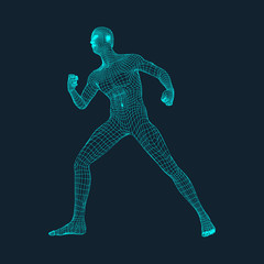 3D Model of Man. Polygonal Design. Geometric Design. Business, Science and Technology Vector Illustration. 3d Polygonal Covering Skin. Human Polygon Body. Human Body Wire Model.  