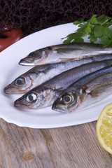 Whiting on the plate