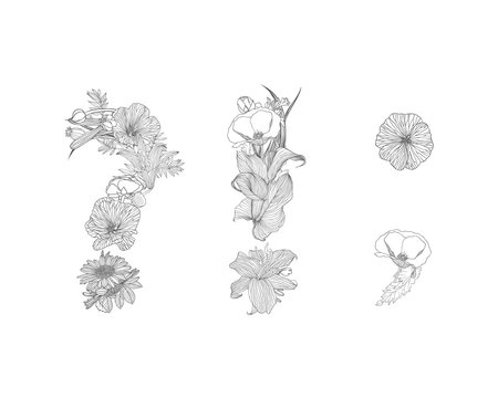 Linear punctuation marks. Alphabet of flowers