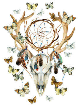 Deer skull. Animal skull with dreamcather and butterfly.