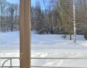 view from the window on a winter forest