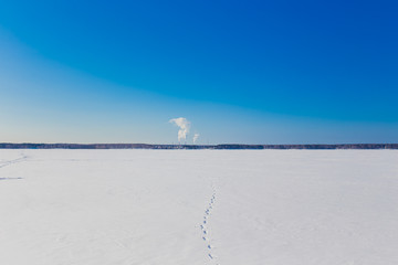 Frozen lake in the winter
