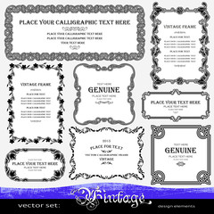 Vintage floral frames and borders set, calligraphic, ornamental photo frames